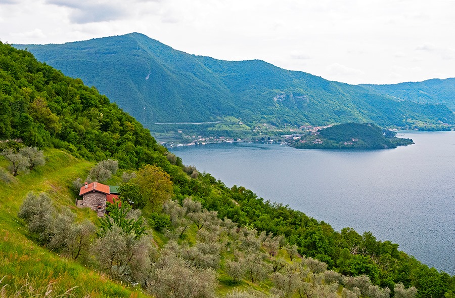 Monte Isola: Passeggiata degli ulivi