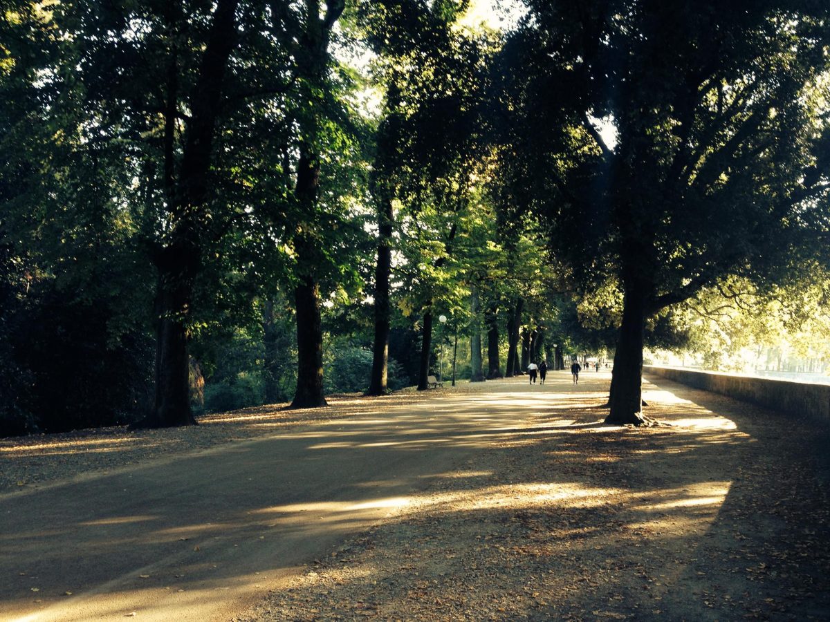 Parco delle mura - Lucca