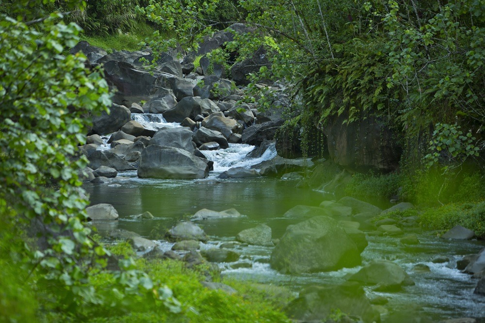 Trekking Tahiti