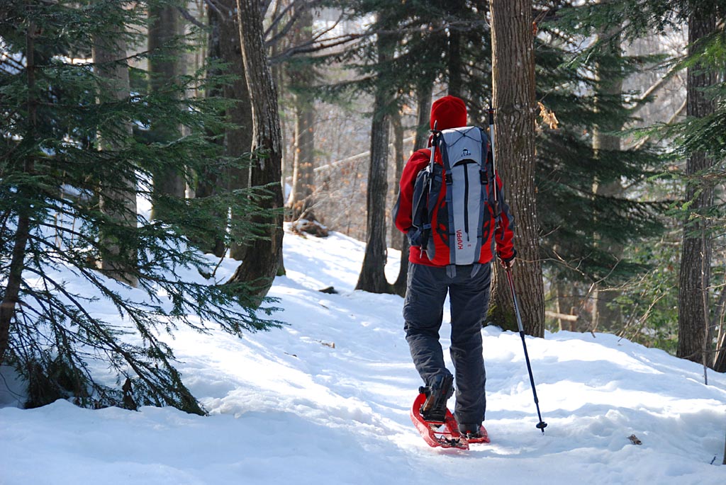 In montagna senza sciare: le attività da fare - Ciaspolata