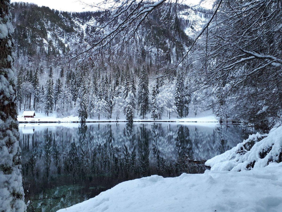 Laghi di Fusine