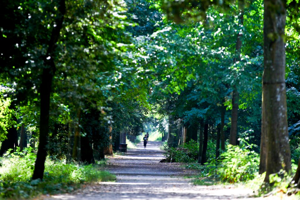 Parco delle Cascine - Firenze