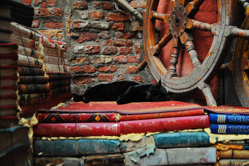 Libreria Acqua Alta di Venezia regno dei gatti e dei libri in gondola e in vasca