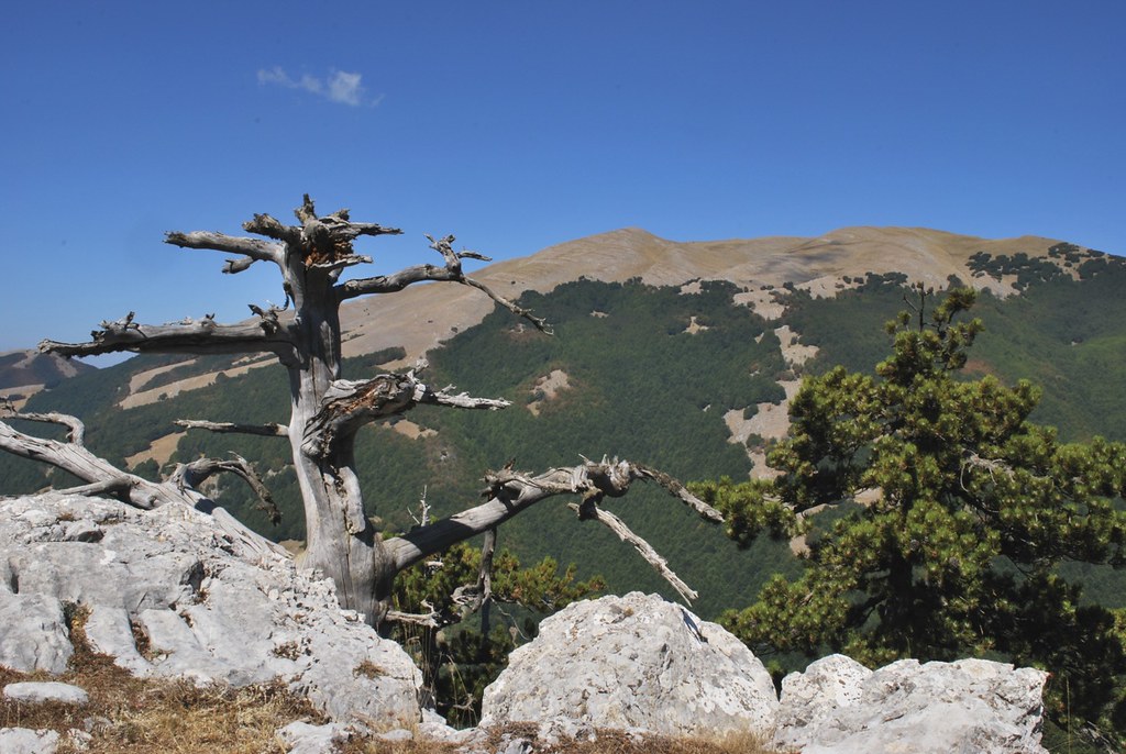 Parco del Pollino: dove si trova e cosa vedere 
