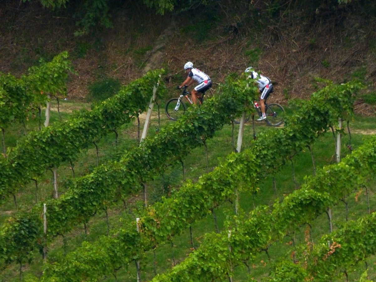 mountain bike