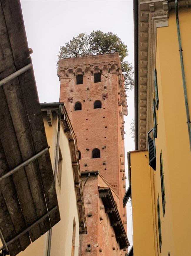 torre guinigi