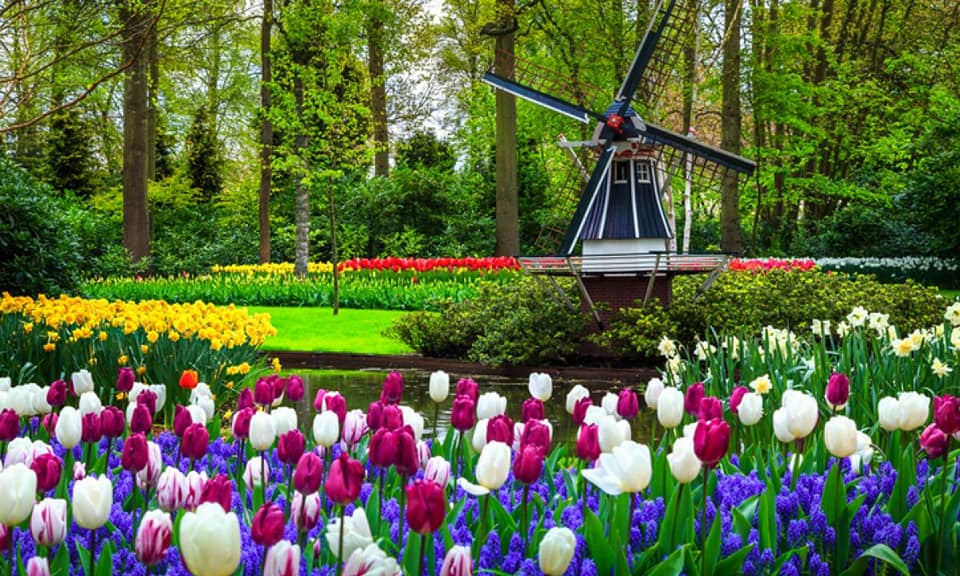 Parco Keukenhof 2022