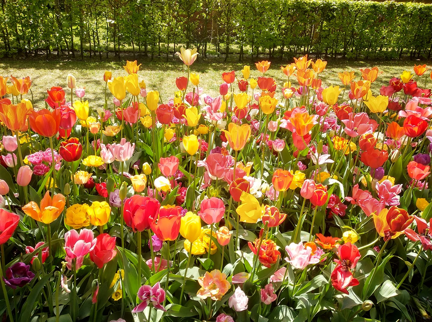 Parco Keukenhof