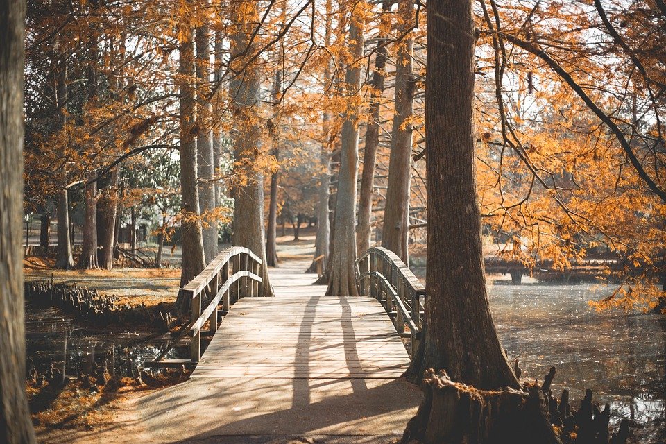 Parco naturale