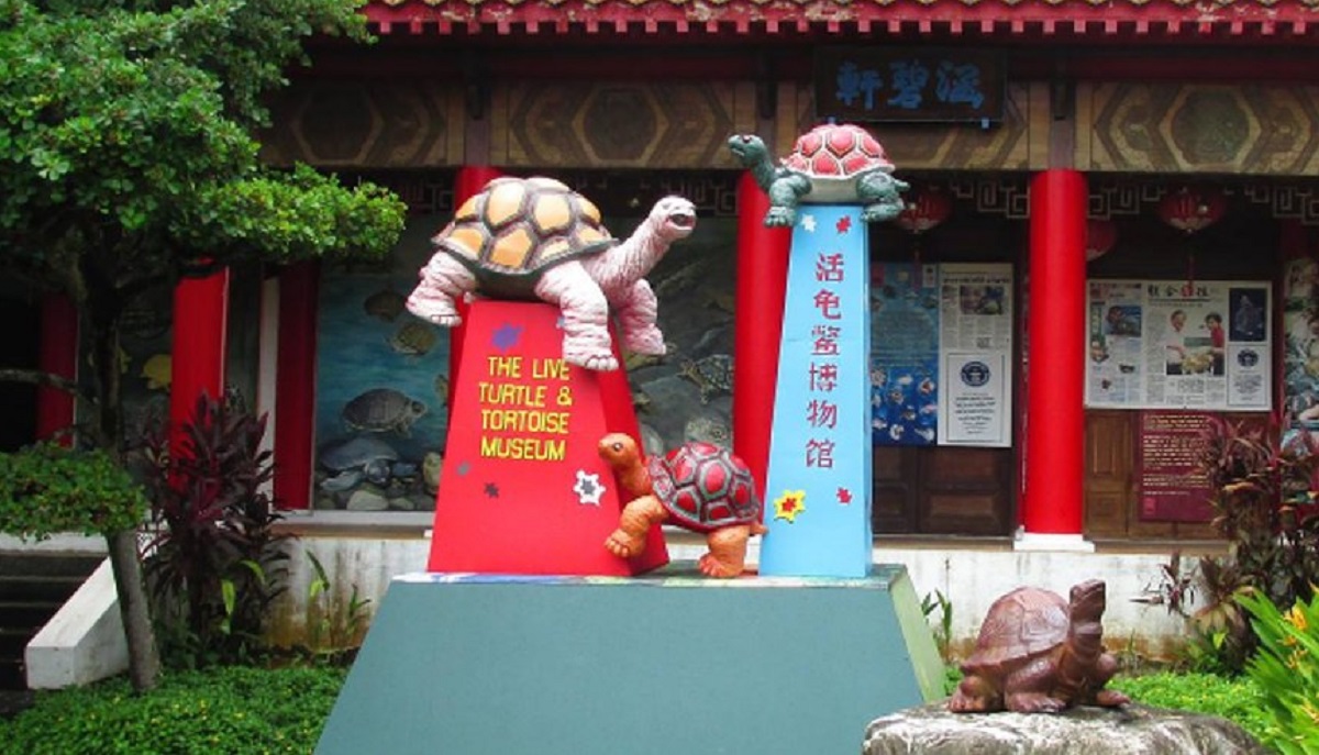 Singapore 3