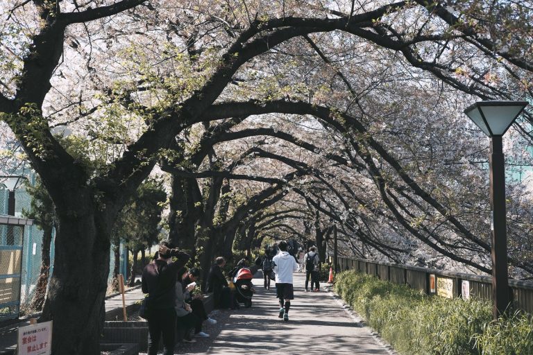 parchi più belli di Tokyo