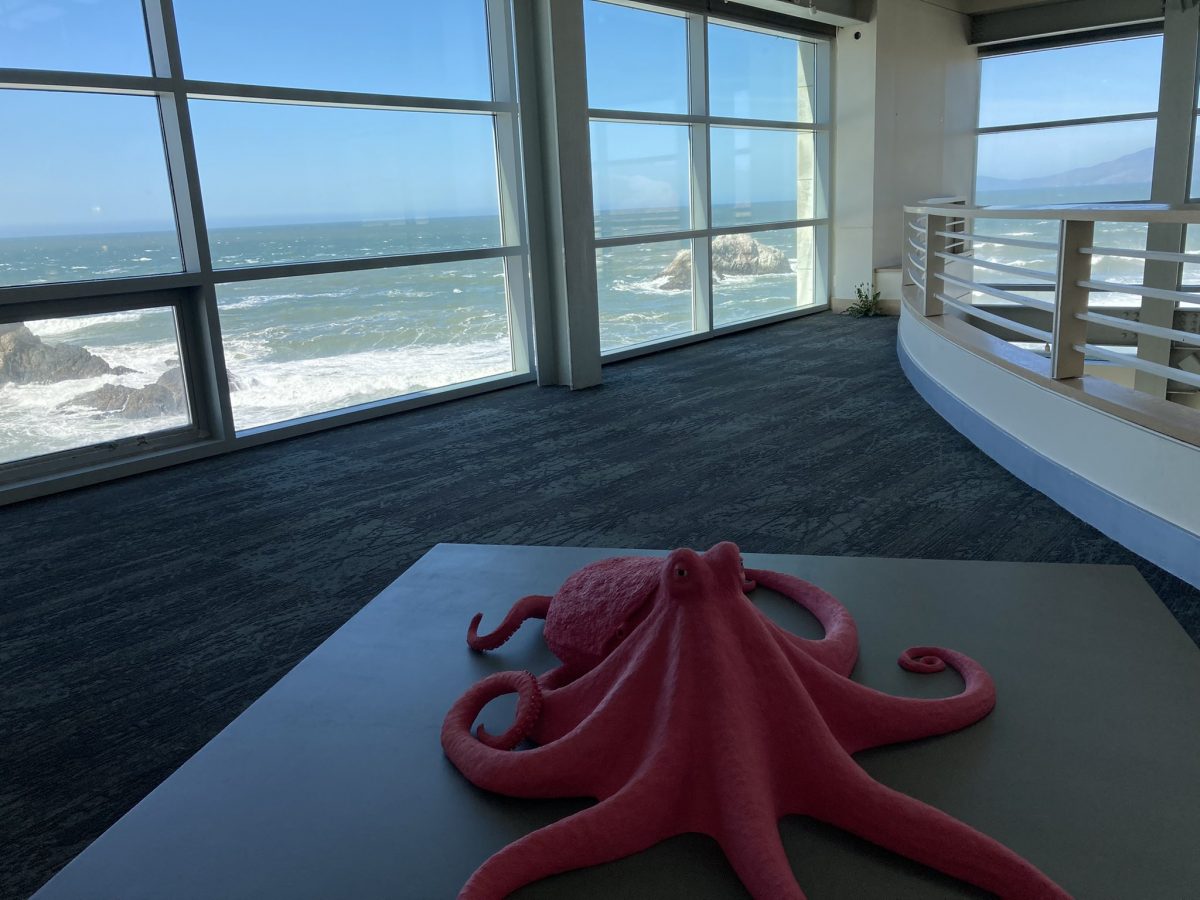 una settimana a San Francisco destinazioni