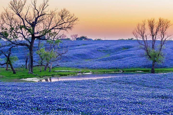 i viaggi su strada da austin