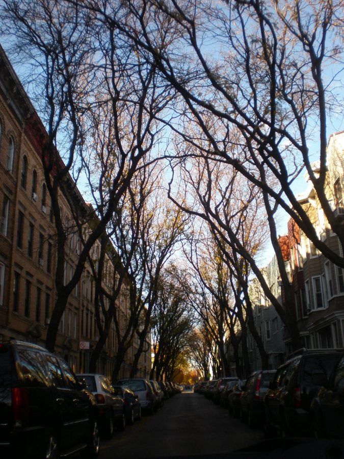 le strade più cool di New York consigli