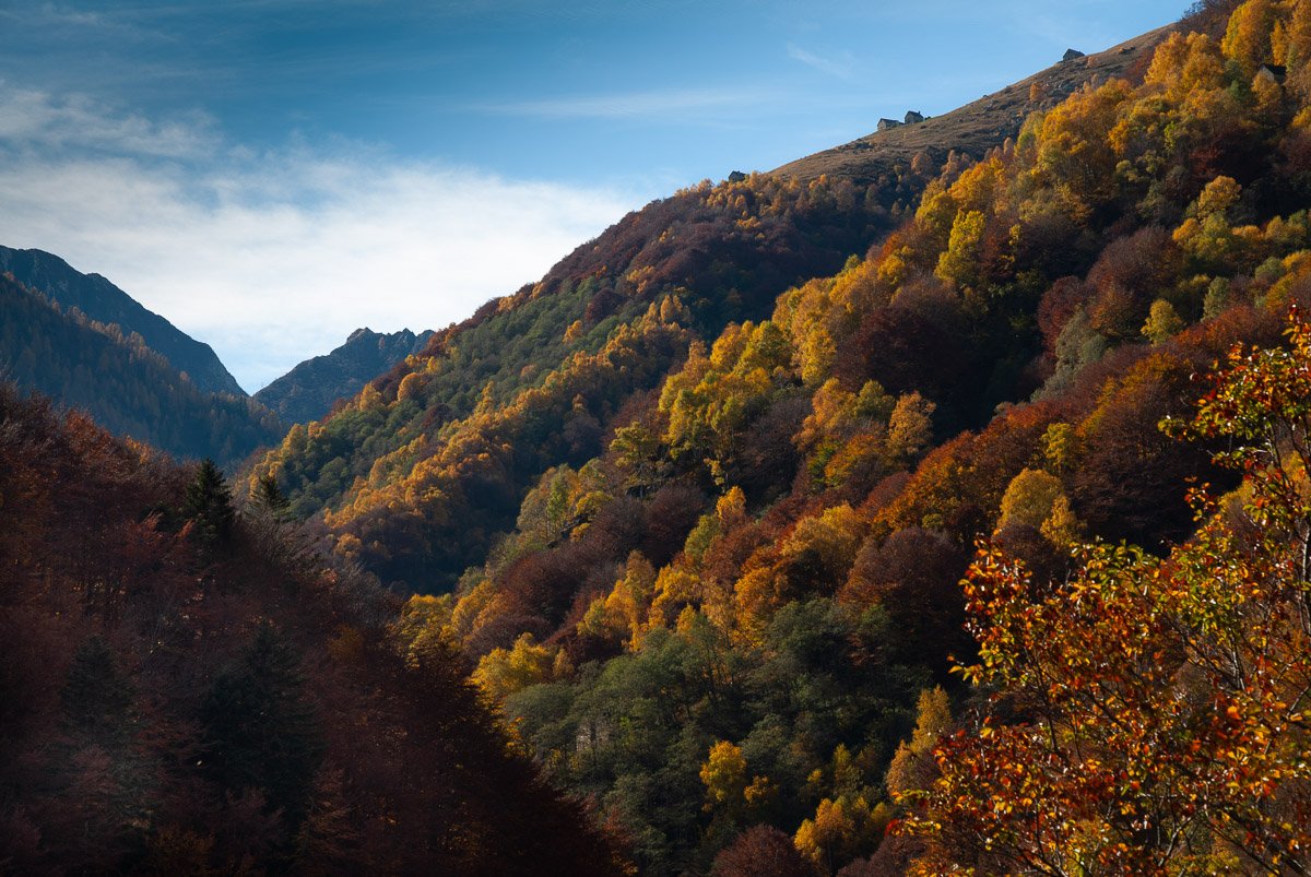 migliori cose da vedere in Piemonte
