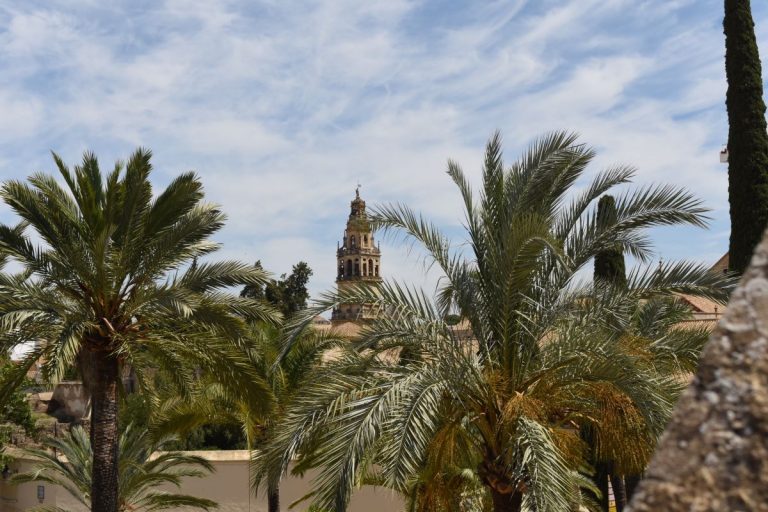Moschea di Cordova
