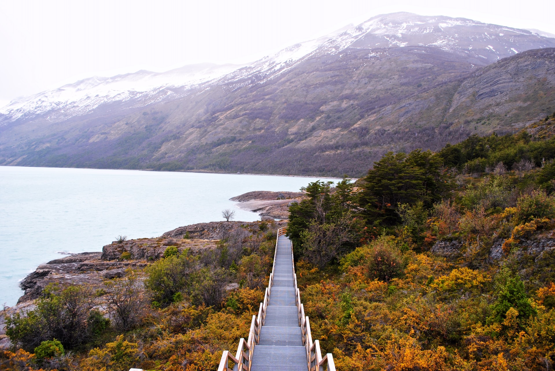 cose da vedere El Calafate