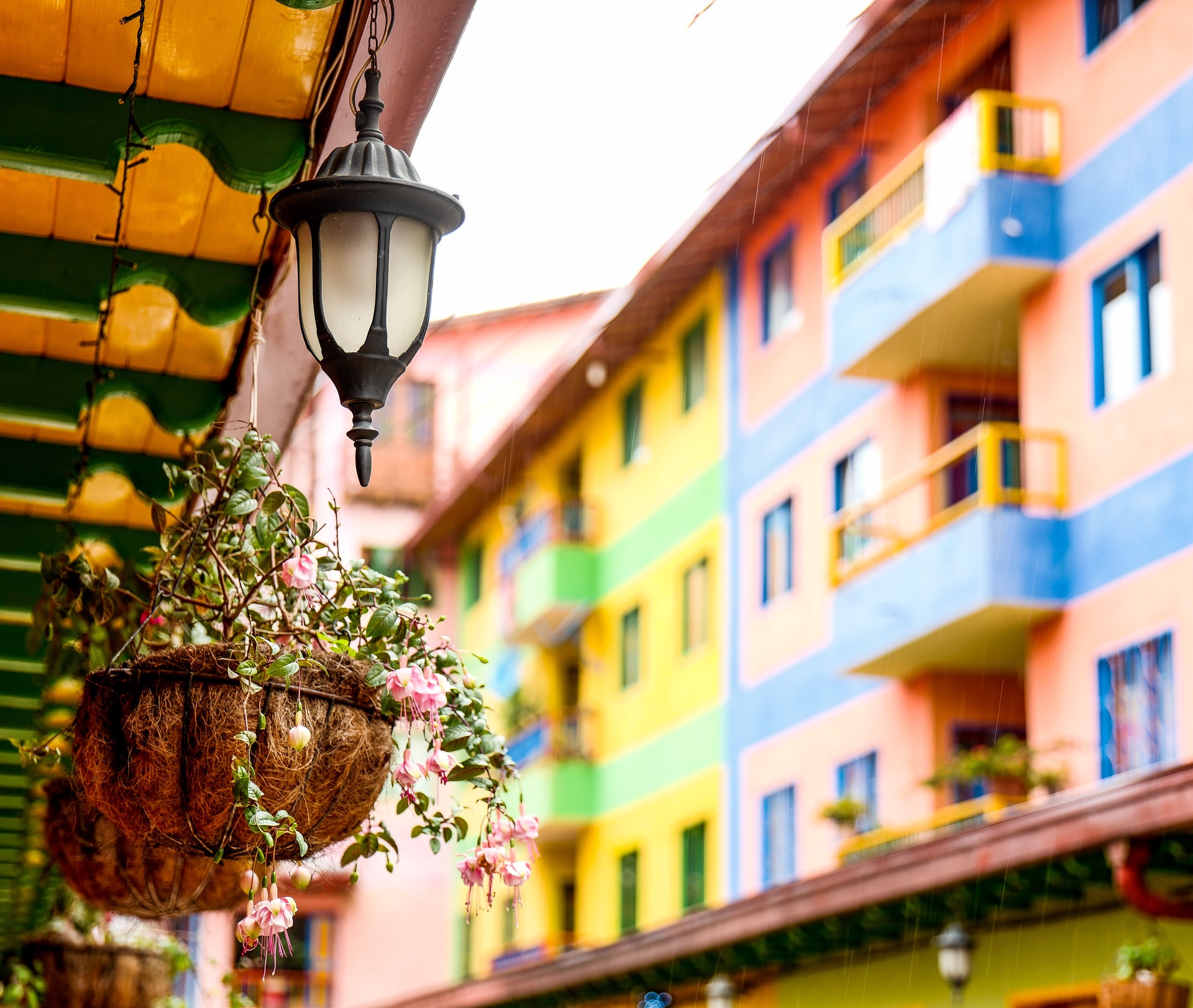 le cose da vedere Medellin
