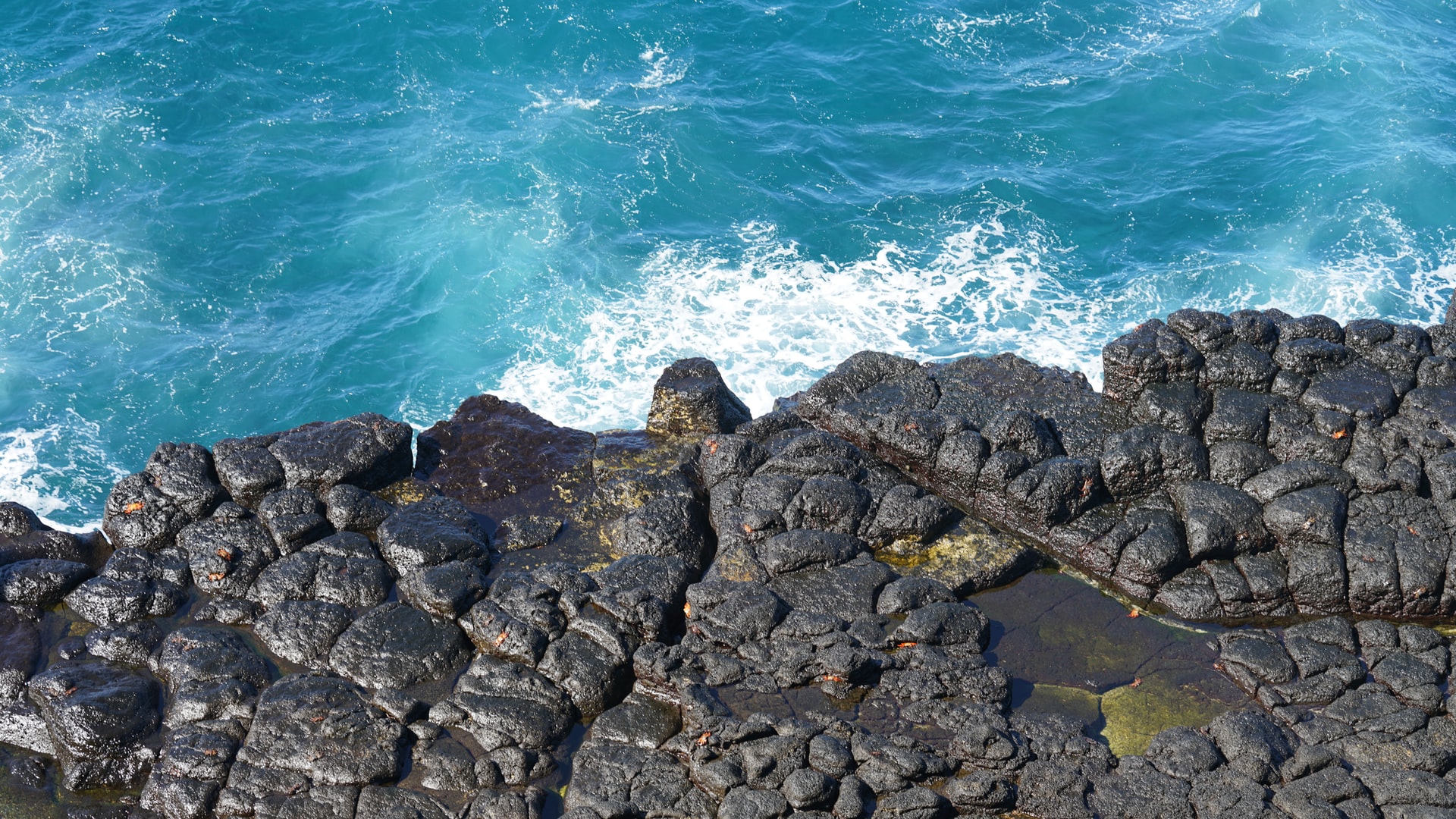 le migliori cose da fare alle Galapagos