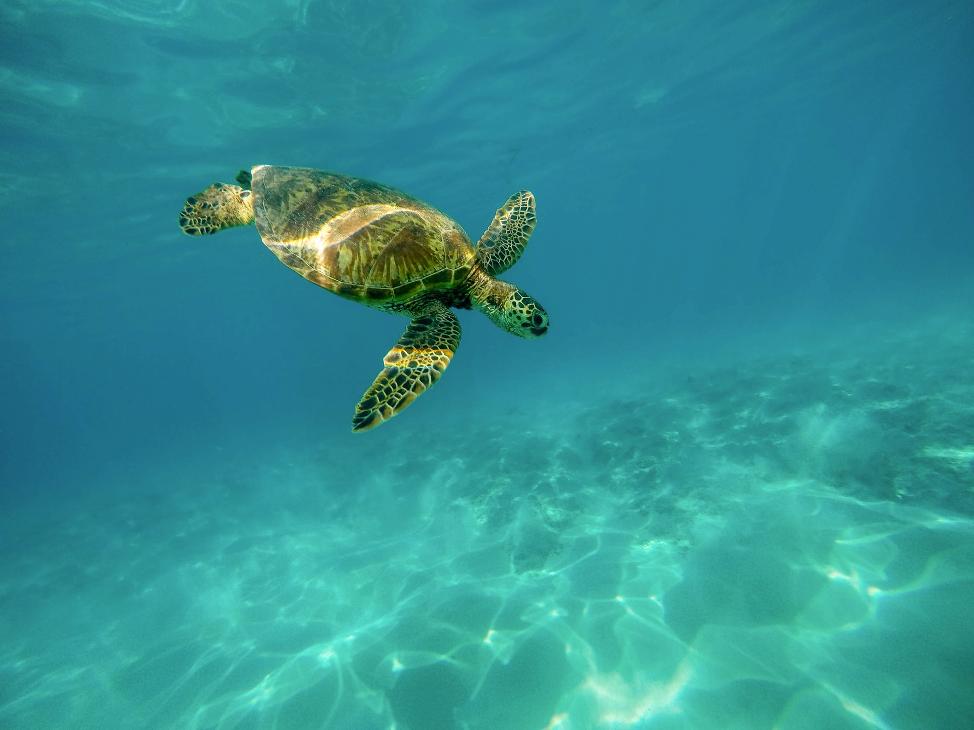 migliori cose da fare alle Galapagos