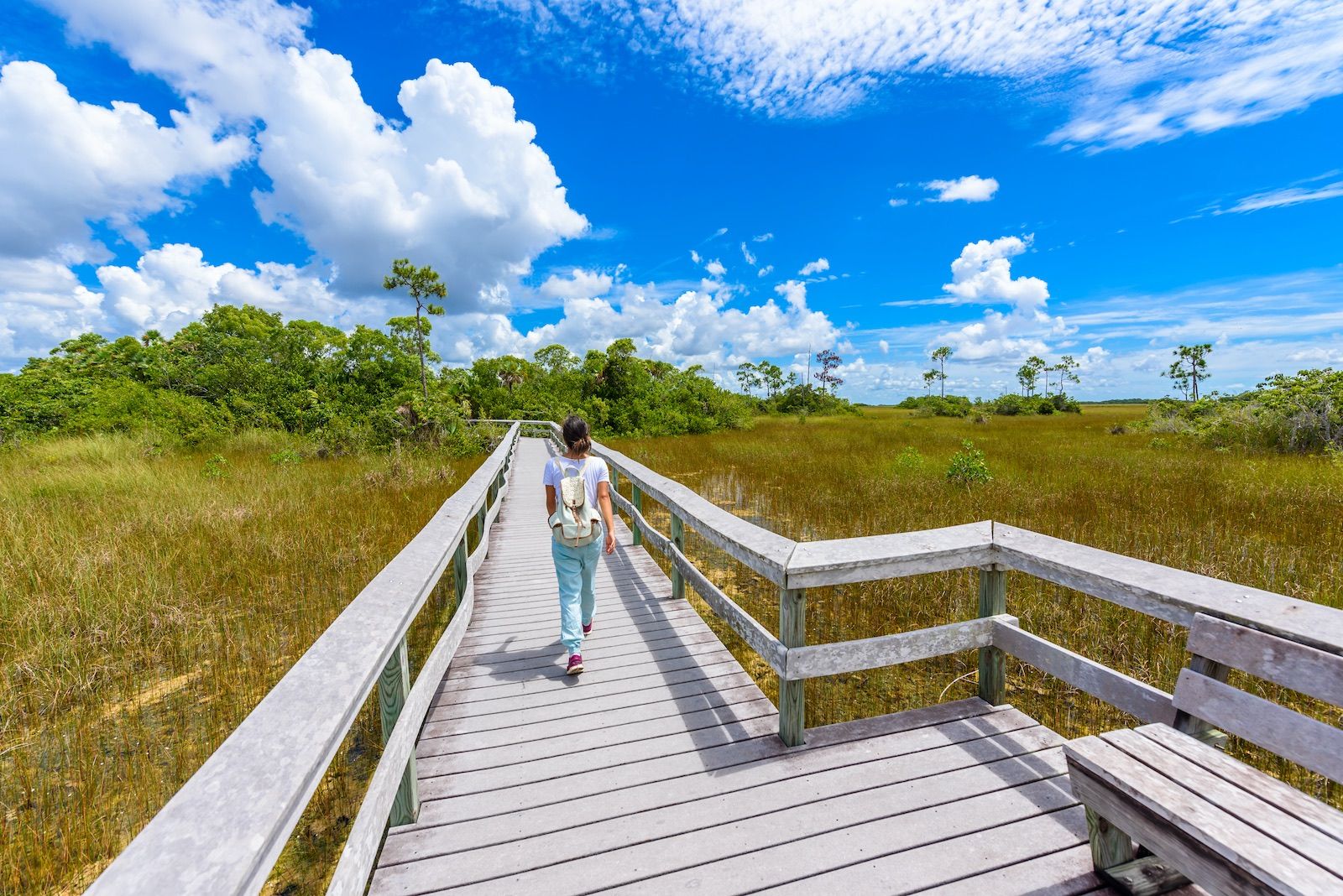 Bird Watching negli Stati Uniti location