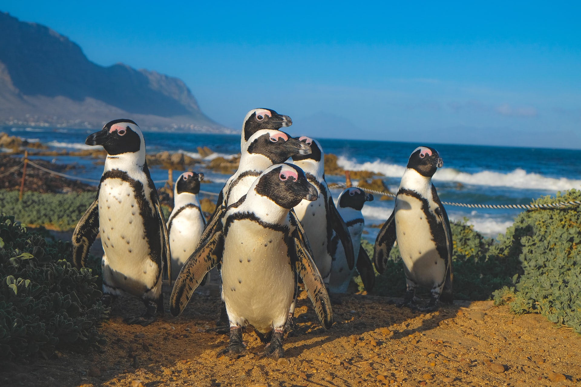 cosa vedere primo viaggio in Sudafrica