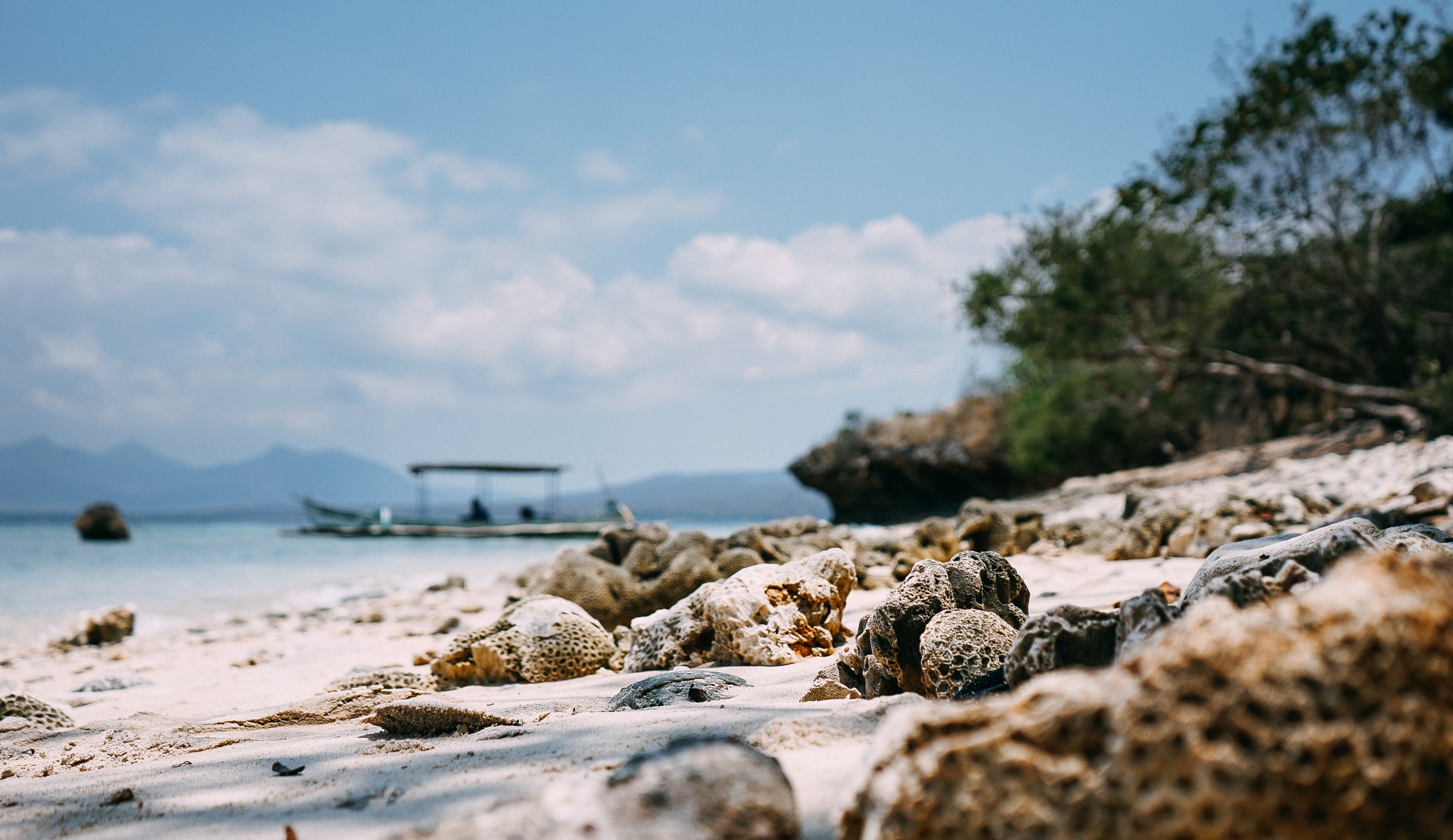 Isola di Menjangan