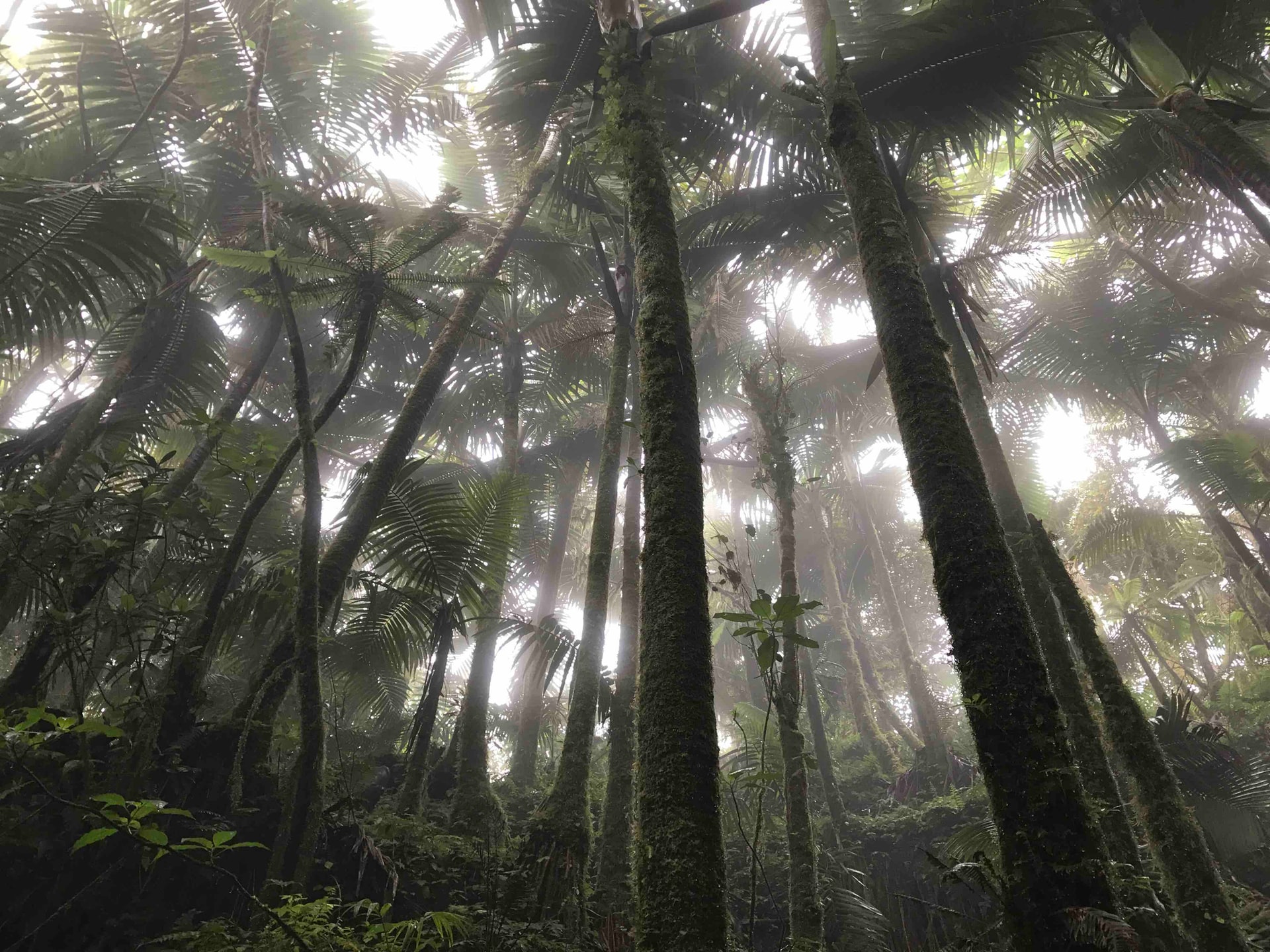 le cose migliori da fare a Porto Rico