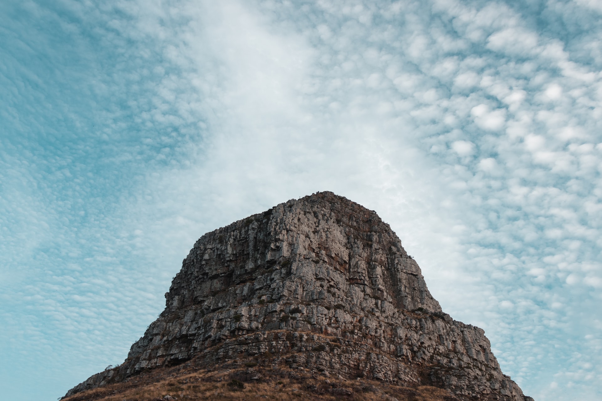 Lion's Head