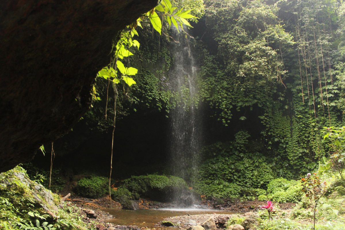 migliori cose da fare a Bali