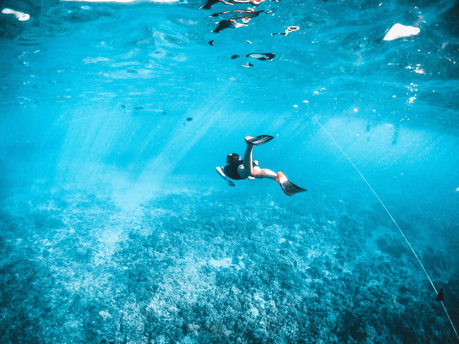 Snorkeling alle Bermuda