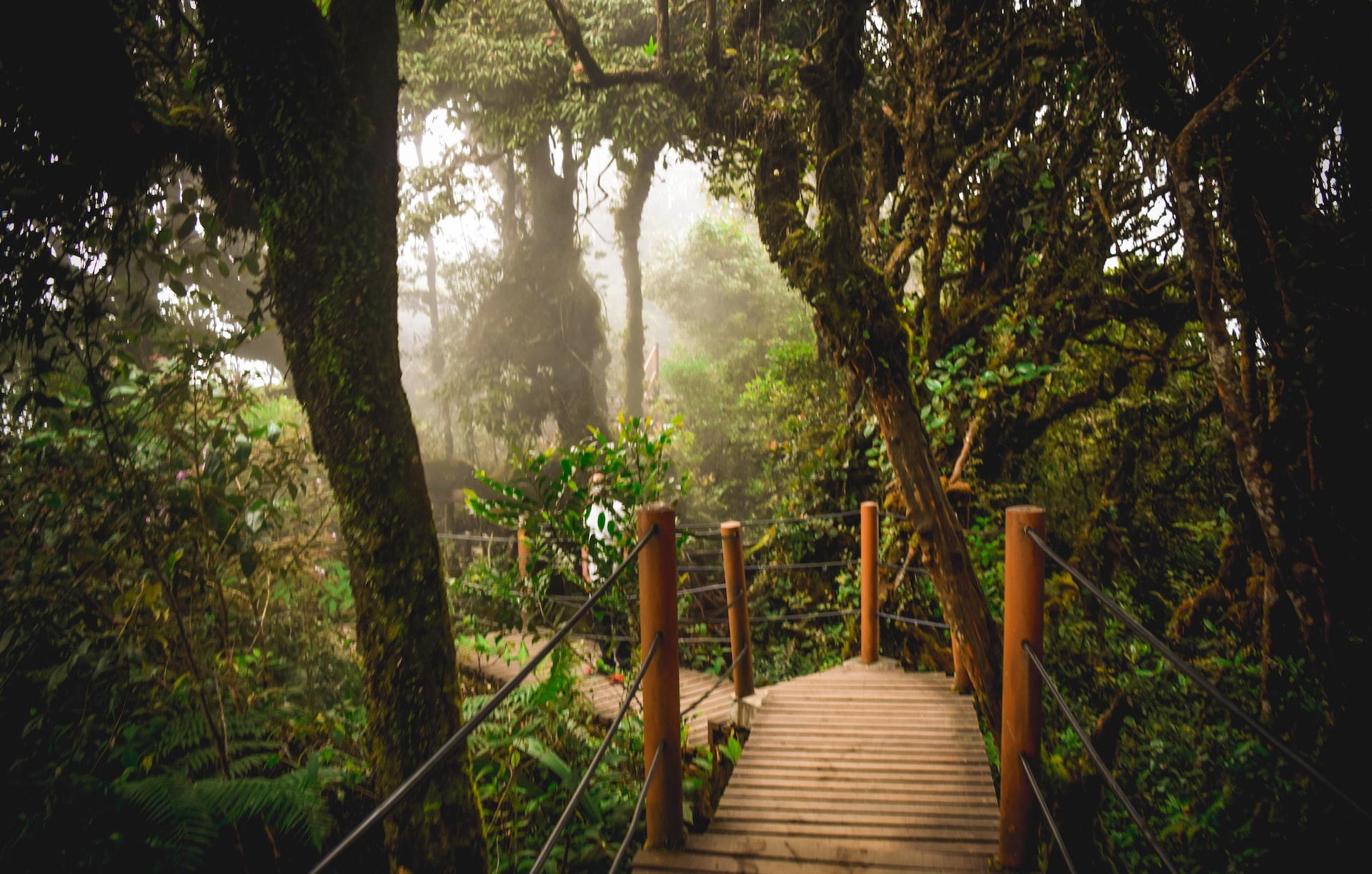 Cameron Highlands cosa vedere