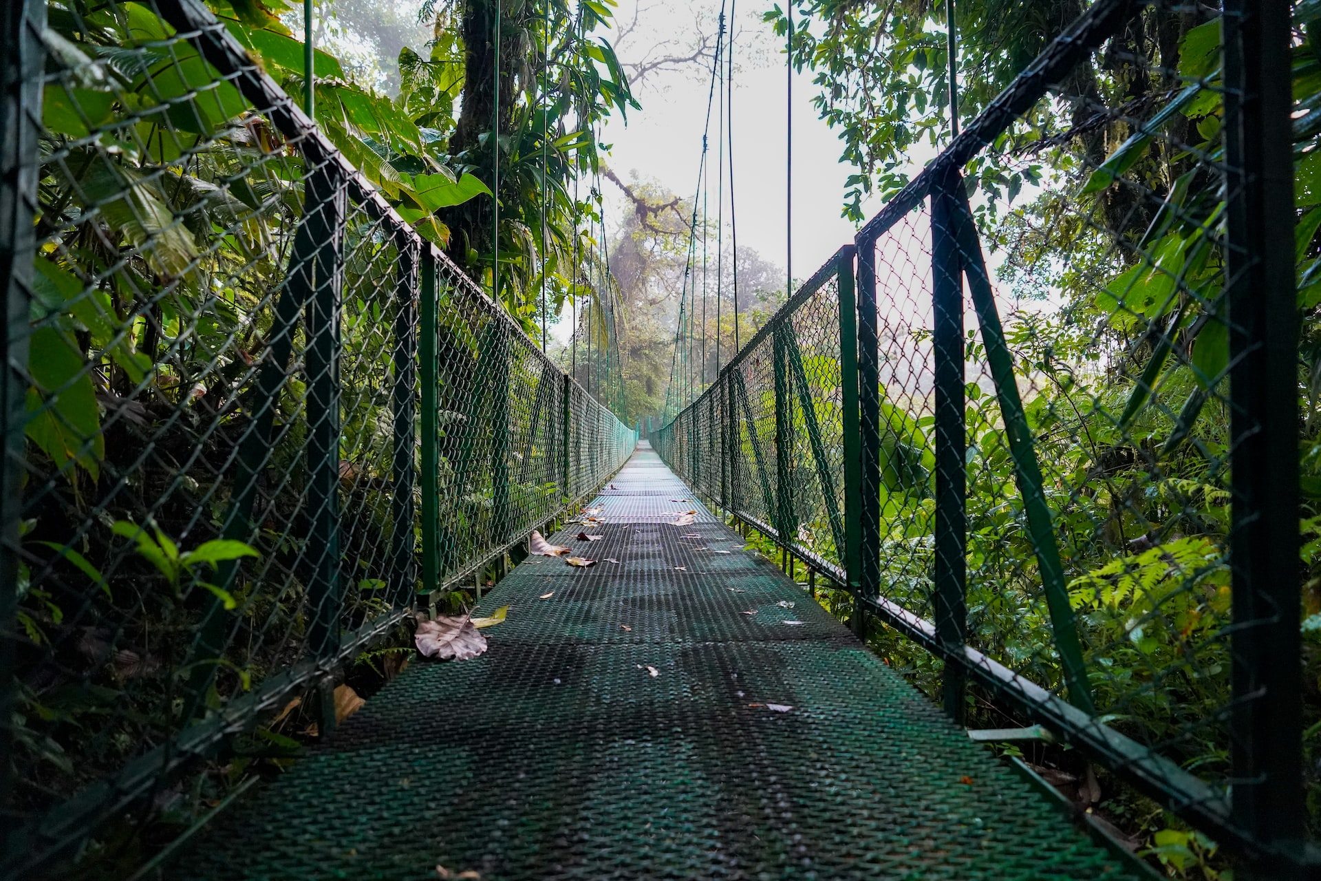 cosa fare costa rica