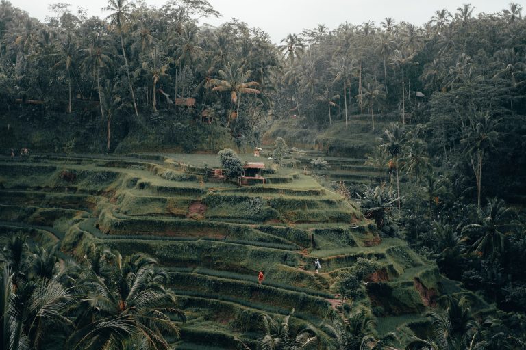 Ubud