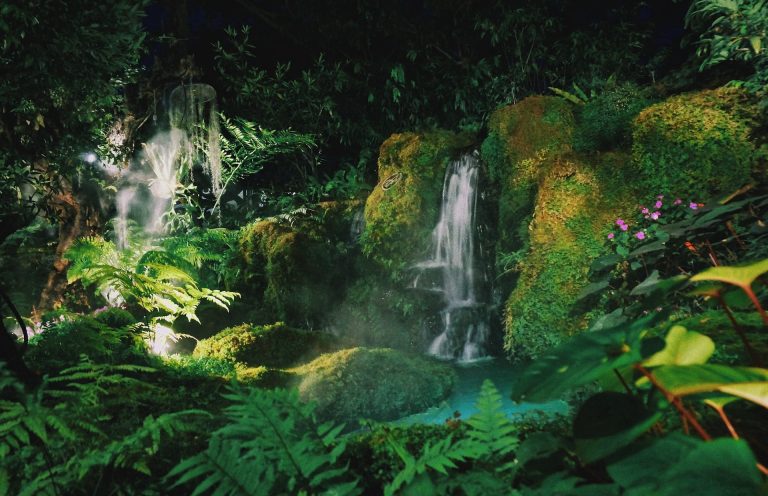 Amazzonia