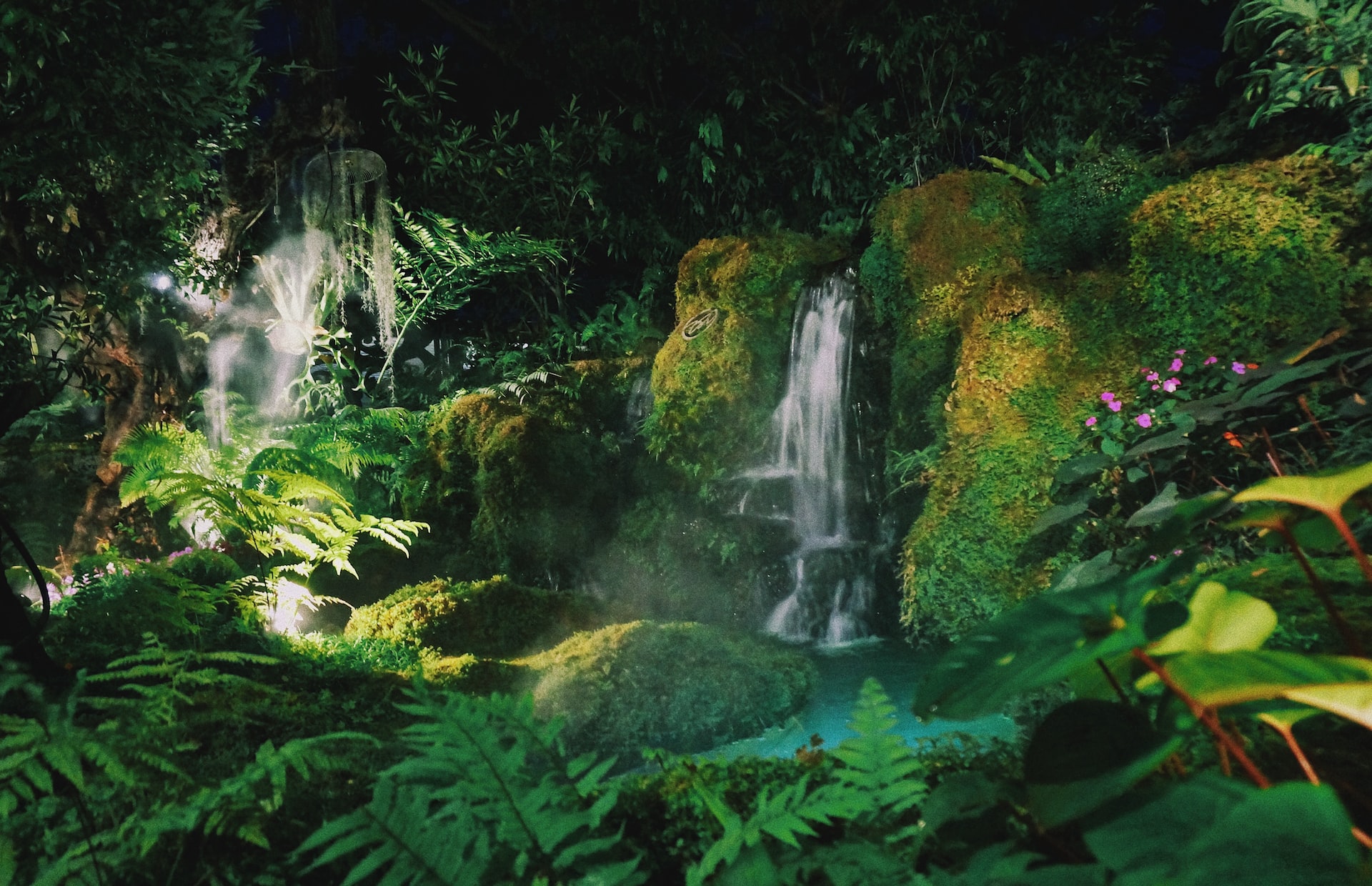 Amazzonia