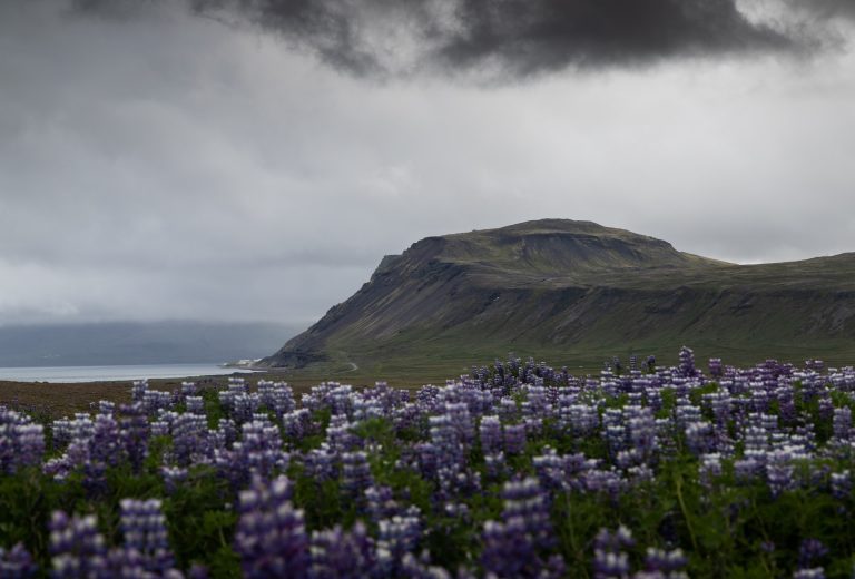 Snaefellsnes