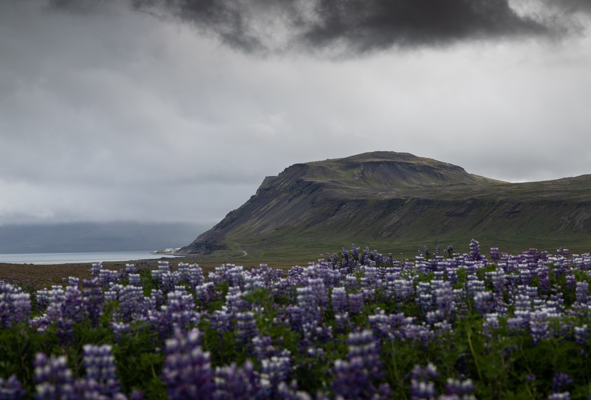 Snaefellsnes