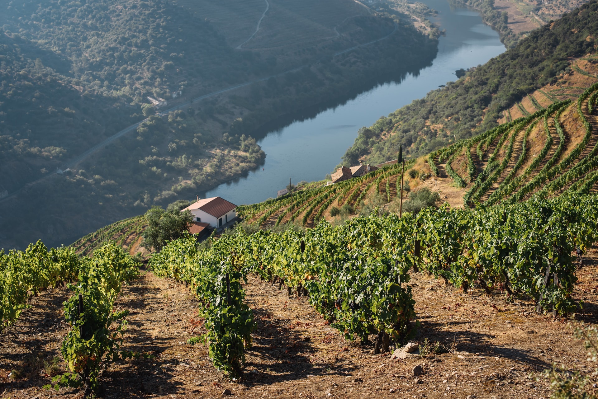 Valle del Douro