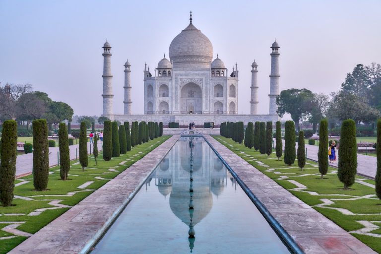 novembre in India