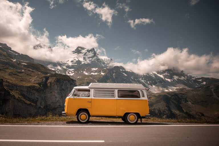 come viaggiare cane camper