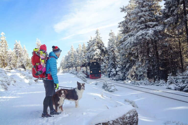 come viaggiare cane treno