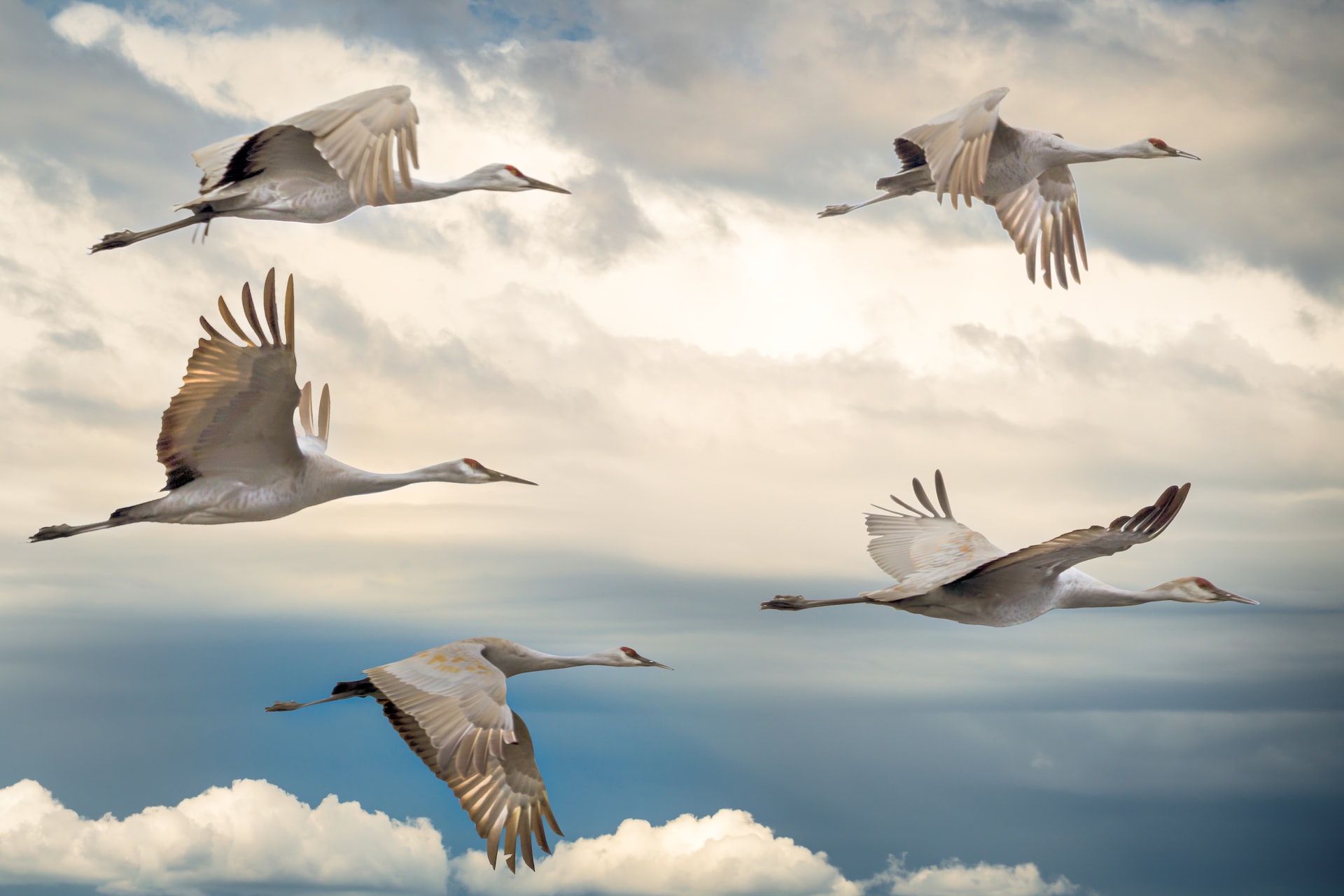 come superare la paura di volare aereo
