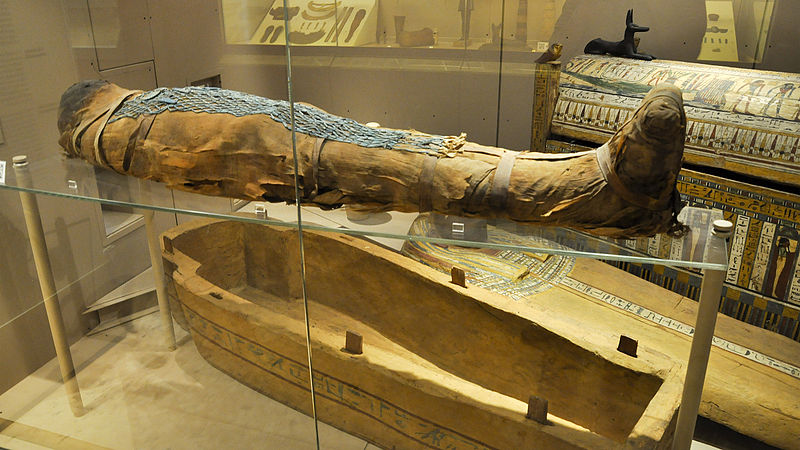 i musei più belli di bologna quali sono