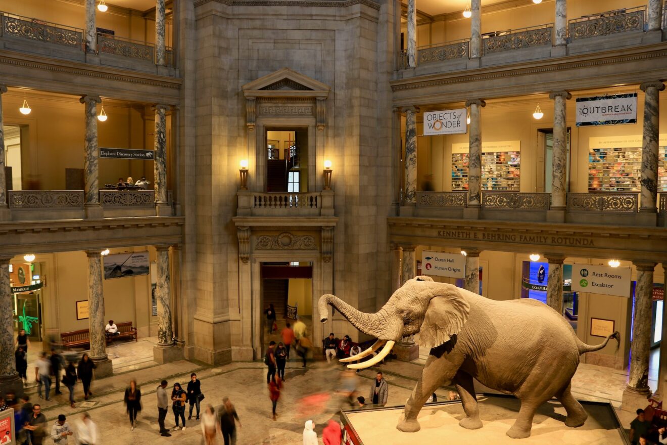 i musei pi&ugrave; visitati al mondo classifica