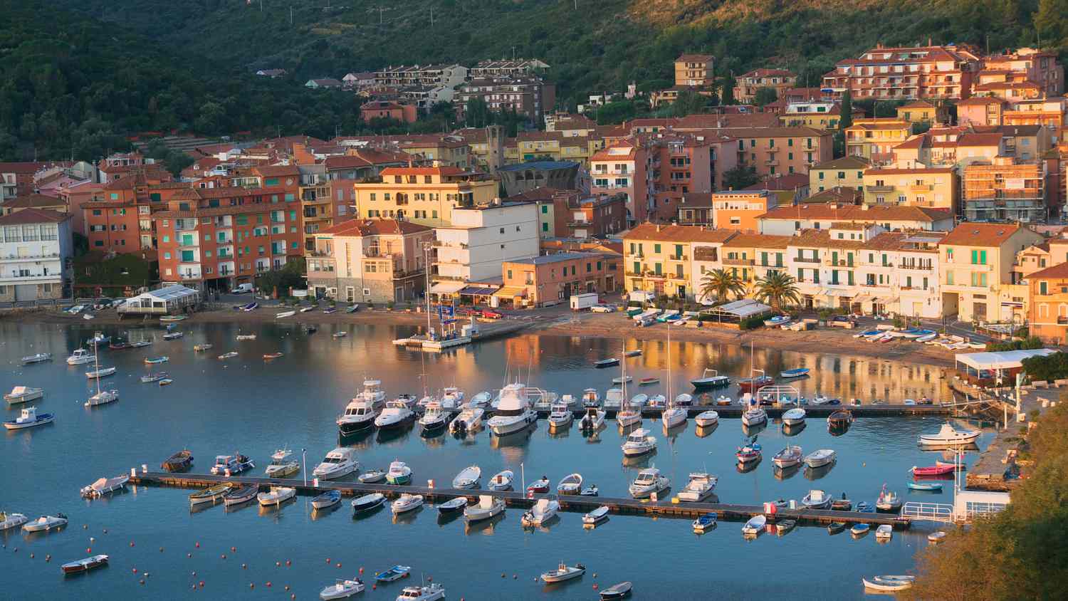 location il colibrì film