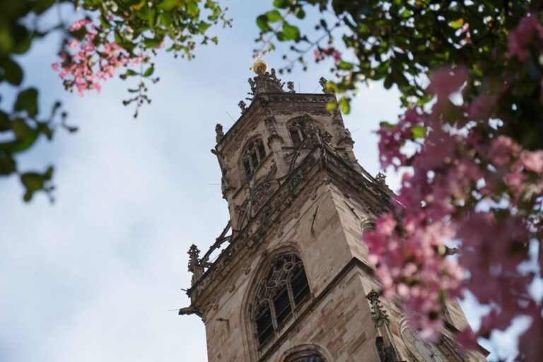 cosa vedere a bolzano