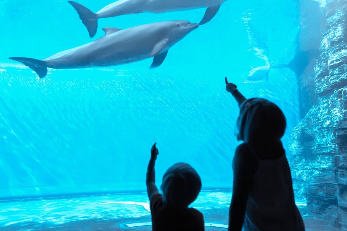 cosa vedere a genova con i bambini guida