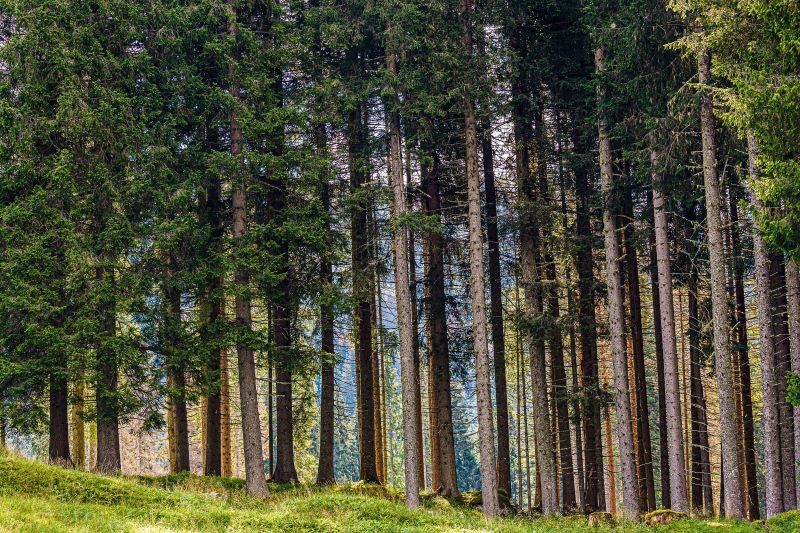 i paesaggi più belli del trentino