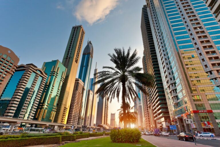 quale moneta a dubai